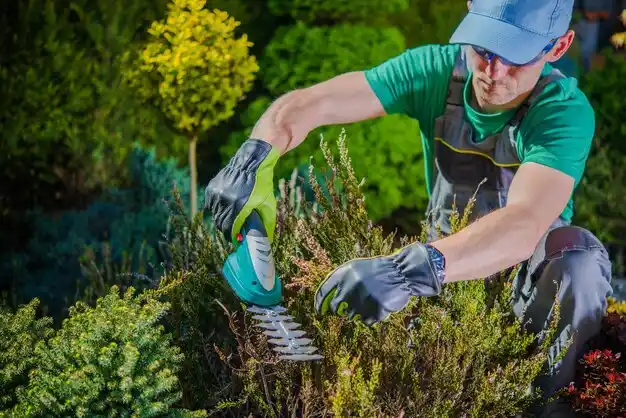 landscaping services Orchard Grass Hills